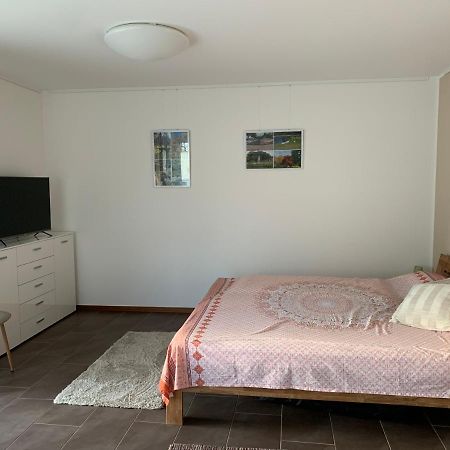 Wohlfuehl-Apartment Ettlingen Ngoại thất bức ảnh